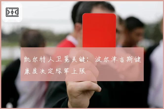 凯尔特人卫冕关键：波尔津吉斯健康度决定绿军上限