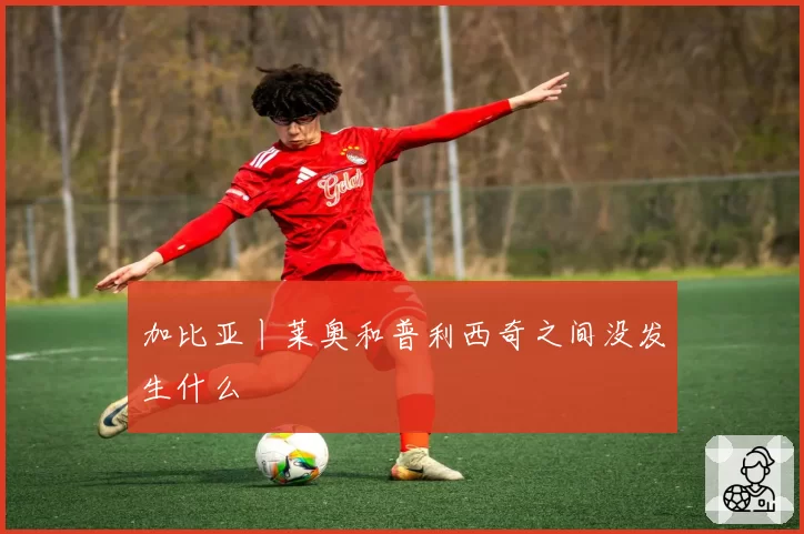 加比亚丨莱奥和普利西奇之间没发生什么