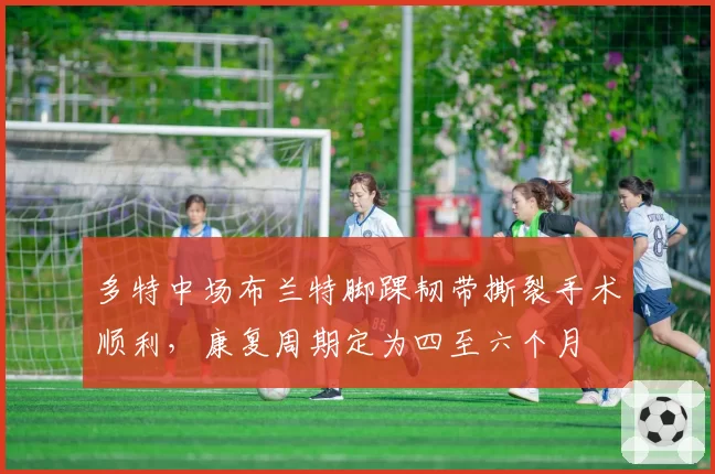 多特中场布兰特脚踝韧带撕裂手术顺利，康复周期定为四至六个月