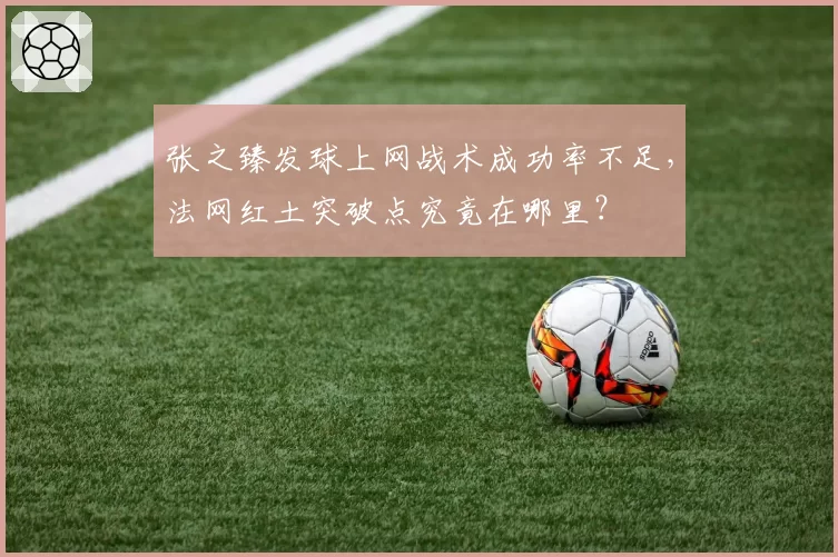 张之臻发球上网战术成功率不足，法网红土突破点究竟在哪里？